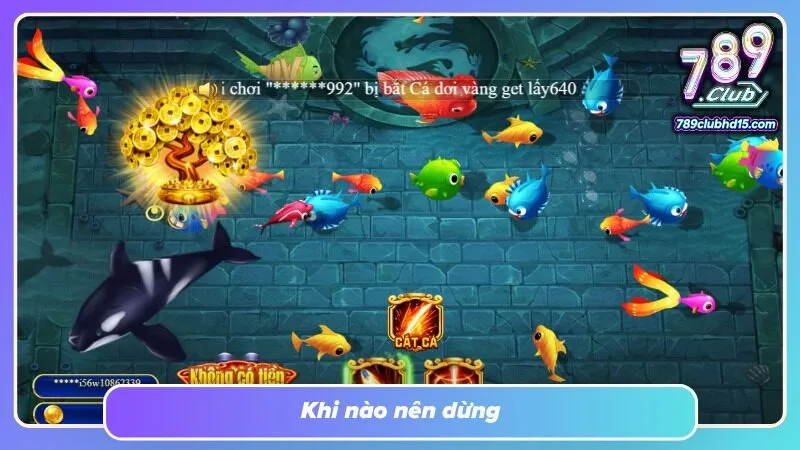 Một phiên săn khép lại đúng lúc giúp hạn chế quyết định ngoài dự tính