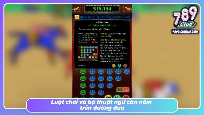 Các chỉ số đường đua được hiển thị rõ qua từng lượt tranh tài