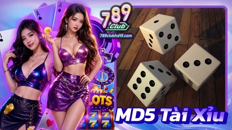 MD5 tài xỉu