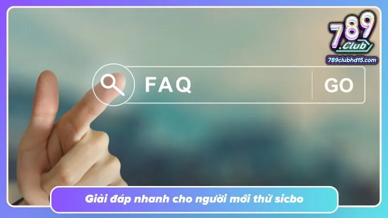 Các câu hỏi cơ bản được hệ thống hóa để tân thủ dễ tìm thông tin